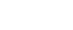 BarnesandNoble_white-300x125